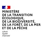 Image / illustration