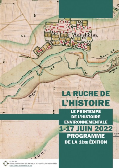 Image / illustration